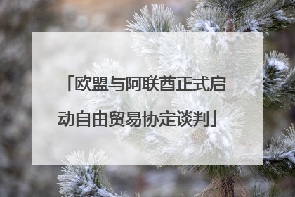 欧盟与阿联酋正式启动自由贸易协定谈判