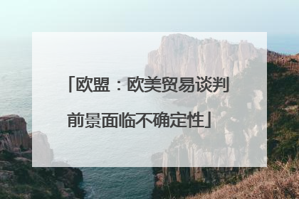 欧盟：欧美贸易谈判前景面临不确定性