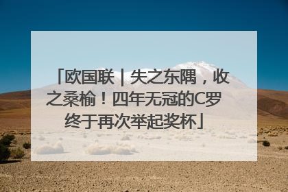 欧国联｜失之东隅，收之桑榆！四年无冠的C罗终于再次举起奖杯