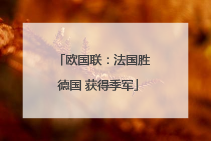 欧国联：法国胜德国 获得季军