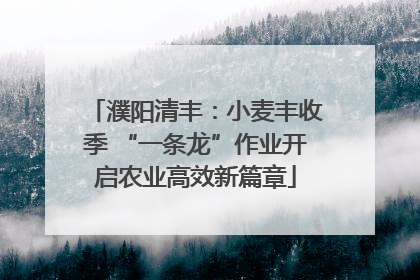 濮阳清丰：小麦丰收季 “一条龙”作业开启农业高效新篇章