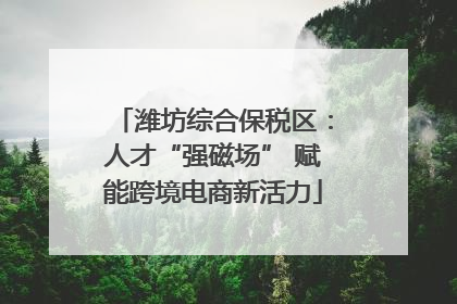 潍坊综合保税区：人才“强磁场” 赋能跨境电商新活力