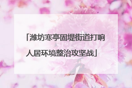 潍坊寒亭固堤街道打响人居环境整治攻坚战