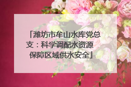 潍坊市牟山水库党总支：科学调配水资源 保障区域供水安全