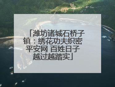 潍坊诸城石桥子镇：绣花功夫织密平安网 百姓日子越过越踏实