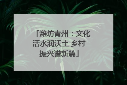 潍坊青州：文化活水润沃土 乡村振兴谱新篇