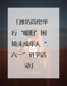 潍坊高密举行“暖阳”困境未成年人“六一”研学活动