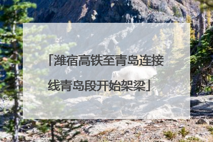 潍宿高铁至青岛连接线青岛段开始架梁
