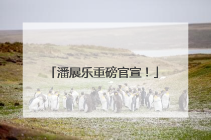 潘展乐重磅官宣！