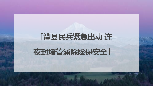 澧县民兵紧急出动 连夜封堵管涌除险保安全