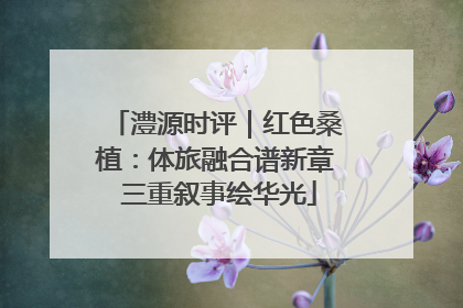 澧源时评｜红色桑植：体旅融合谱新章 三重叙事绘华光