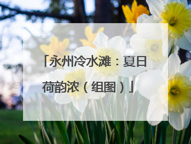 永州冷水滩：夏日荷韵浓（组图）