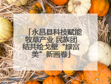 永昌县科技赋能牧草产业 民族团结共绘戈壁“绿富美”新画卷