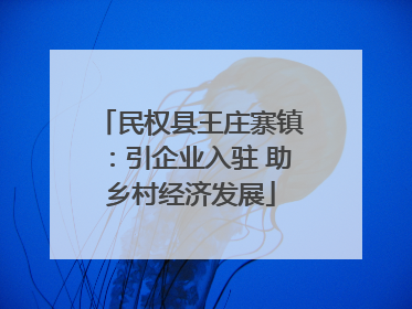 民权县王庄寨镇：引企业入驻 助乡村经济发展