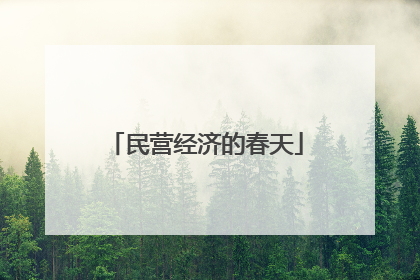 民营经济的春天