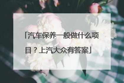 汽车保养一般做什么项目？上汽大众有答案