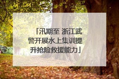 汛期至 浙江武警开展水上集训提升抢险救援能力
