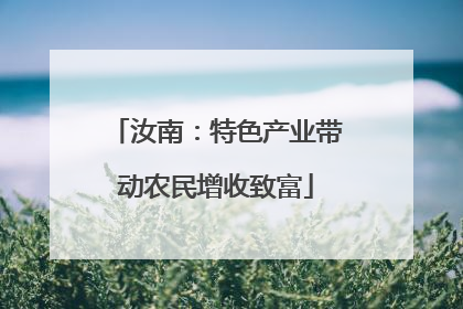 汝南：特色产业带动农民增收致富