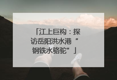 江上巨构：探访岳阳洪水港“钢铁水骆驼”