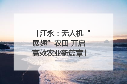 江永：无人机“展翅”农田 开启高效农业新篇章