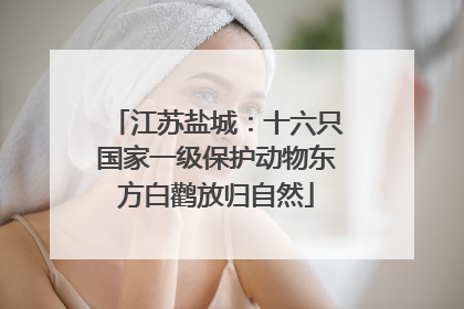 江苏盐城：十六只国家一级保护动物东方白鹳放归自然