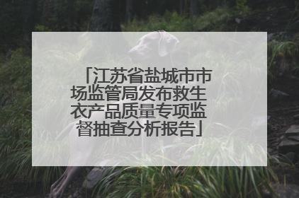 江苏省盐城市市场监管局发布救生衣产品质量专项监督抽查分析报告
