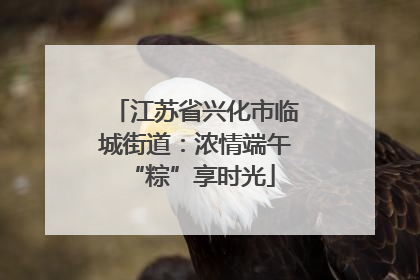 江苏省兴化市临城街道：浓情端午 “粽”享时光