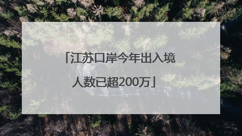 江苏口岸今年出入境人数已超200万