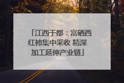 江西于都：富硒西红柿集中采收 精深加工延伸产业链