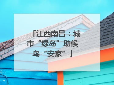 江西南昌：城市“绿岛”助候鸟“安家”