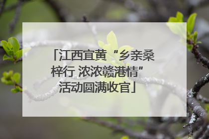 江西宜黄“乡亲桑梓行 浓浓赣港情”活动圆满收官