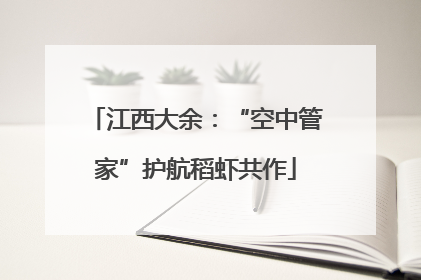 江西大余：“空中管家”护航稻虾共作