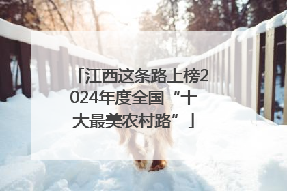 江西这条路上榜2024年度全国“十大最美农村路”