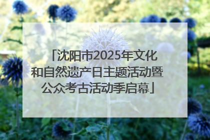 沈阳市2025年文化和自然遗产日主题活动暨公众考古活动季启幕