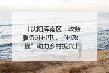 沈阳浑南区：政务服务进村屯，“村政通”助力乡村振兴