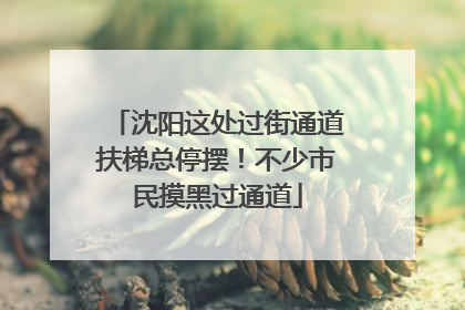沈阳这处过街通道扶梯总停摆！不少市民摸黑过通道