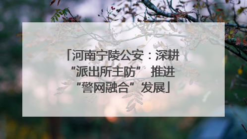 河南宁陵公安：深耕“派出所主防” 推进“警网融合”发展