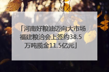 河南好粮油迈向大市场 福建粮洽会上签约38.5万吨揽金11.5亿元