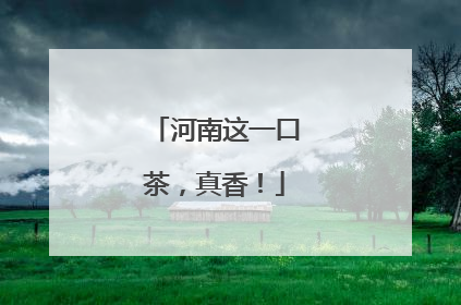 河南这一口茶，真香！