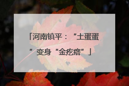 河南镇平：“土蛋蛋”变身“金疙瘩”