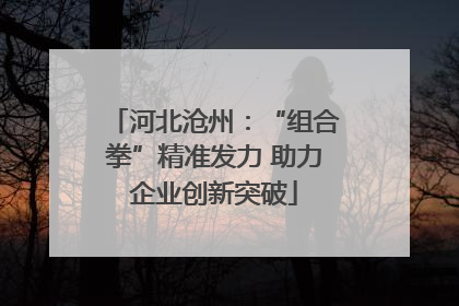 河北沧州：“组合拳”精准发力 助力企业创新突破