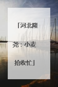 河北隆尧：小麦抢收忙