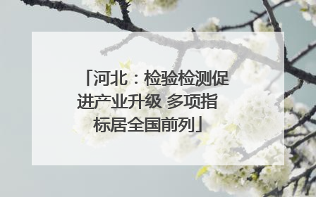 河北：检验检测促进产业升级 多项指标居全国前列