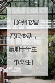 泸州老窖高层变动，履职十年董事离任