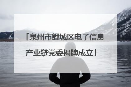 泉州市鲤城区电子信息产业链党委揭牌成立