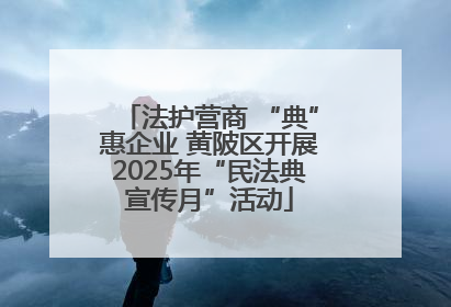 法护营商 “典”惠企业 黄陂区开展2025年“民法典宣传月”活动
