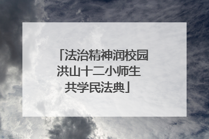 法治精神润校园 洪山十二小师生共学民法典