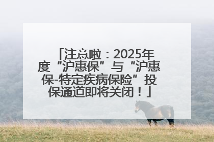 注意啦：2025年度“沪惠保”与“沪惠保-特定疾病保险”投保通道即将关闭！
