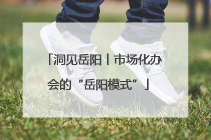 洞见岳阳丨市场化办会的“岳阳模式”
