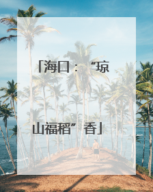 海口：“琼山福稻”香